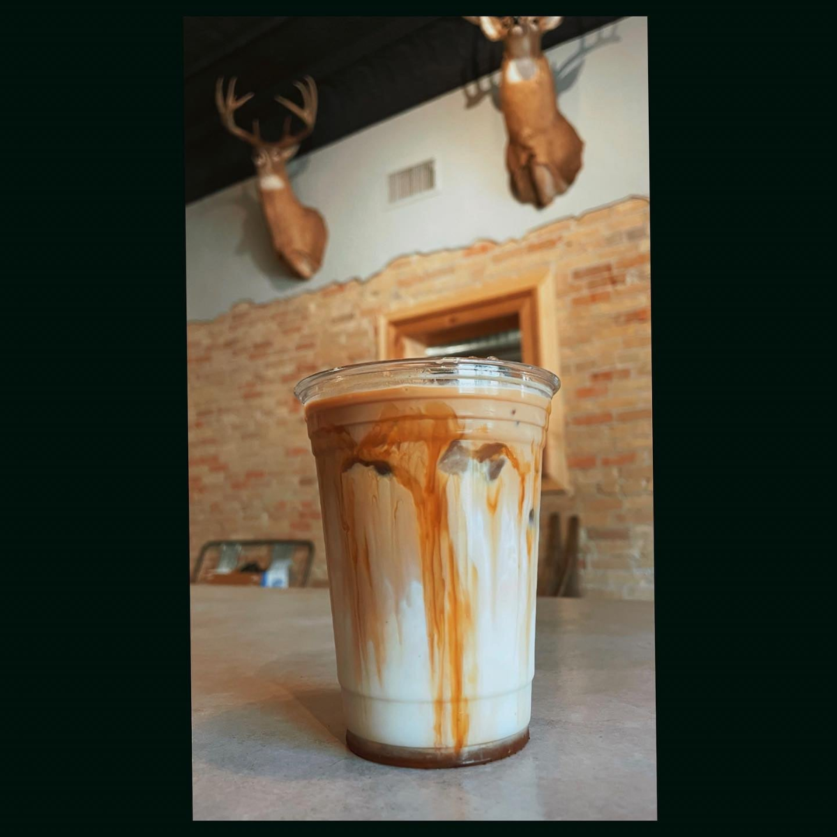 Wake Up Whitetail Coffee in Brandon, WI (4)