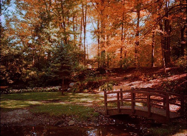 Hartle Elder Law Practice, LLC in Hermitage, PA (5)