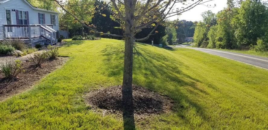Unlimited Landscapes and Lawn Maintenance,LLC in Mc Grady, NC
