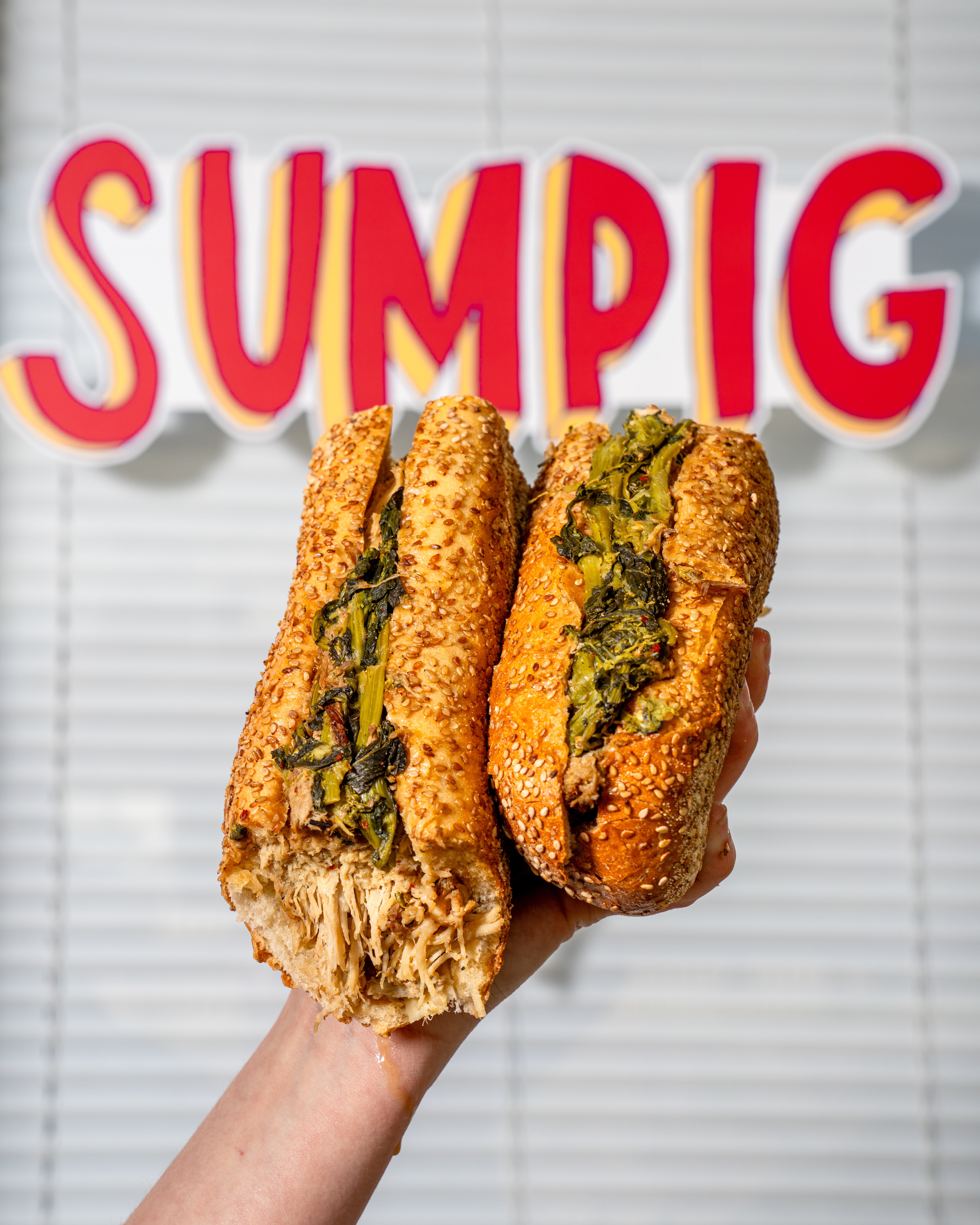 Sum Pig in Fort Washington, PA