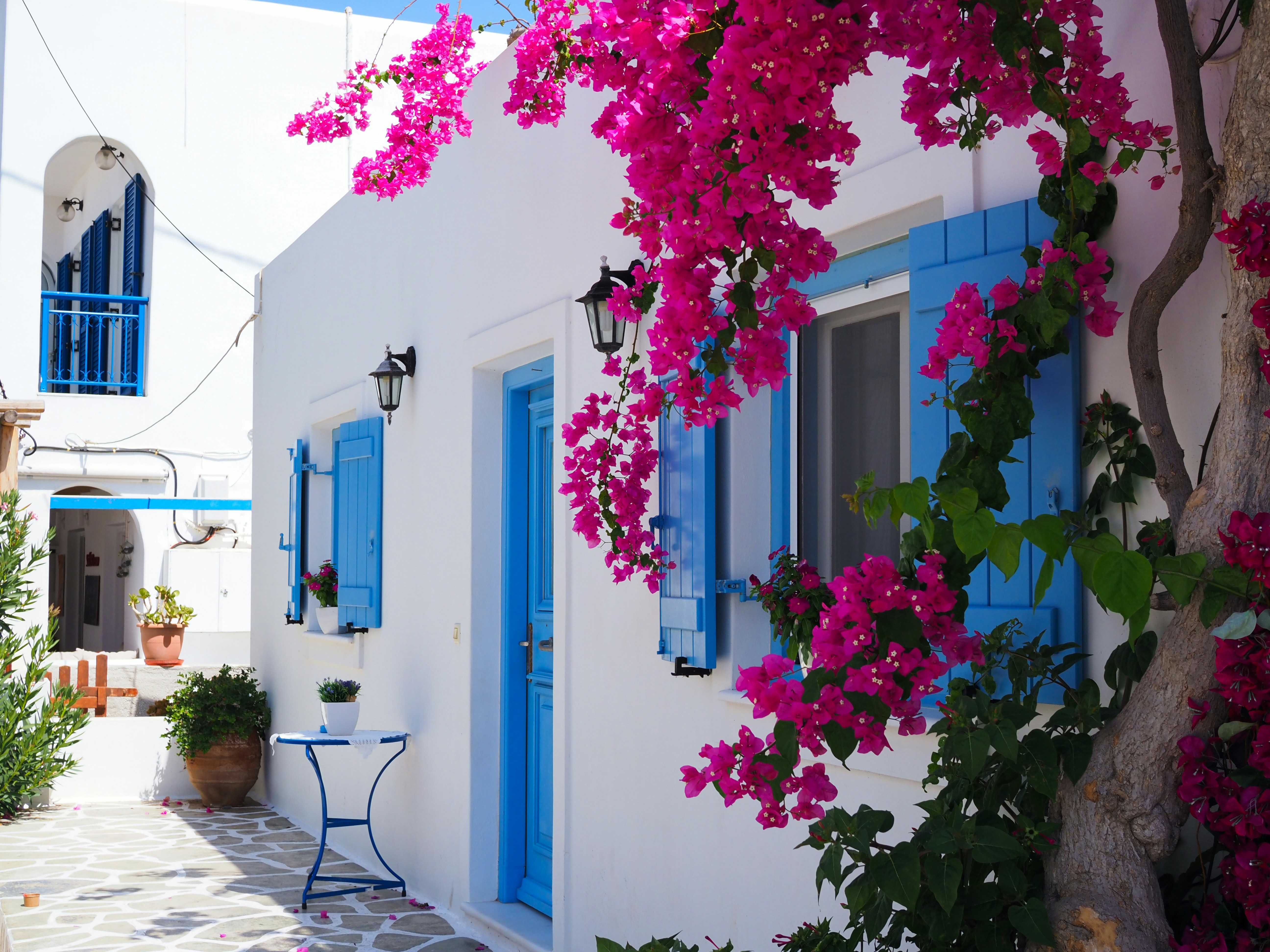ELA! Greek Restaurant in New Port Richey, FL