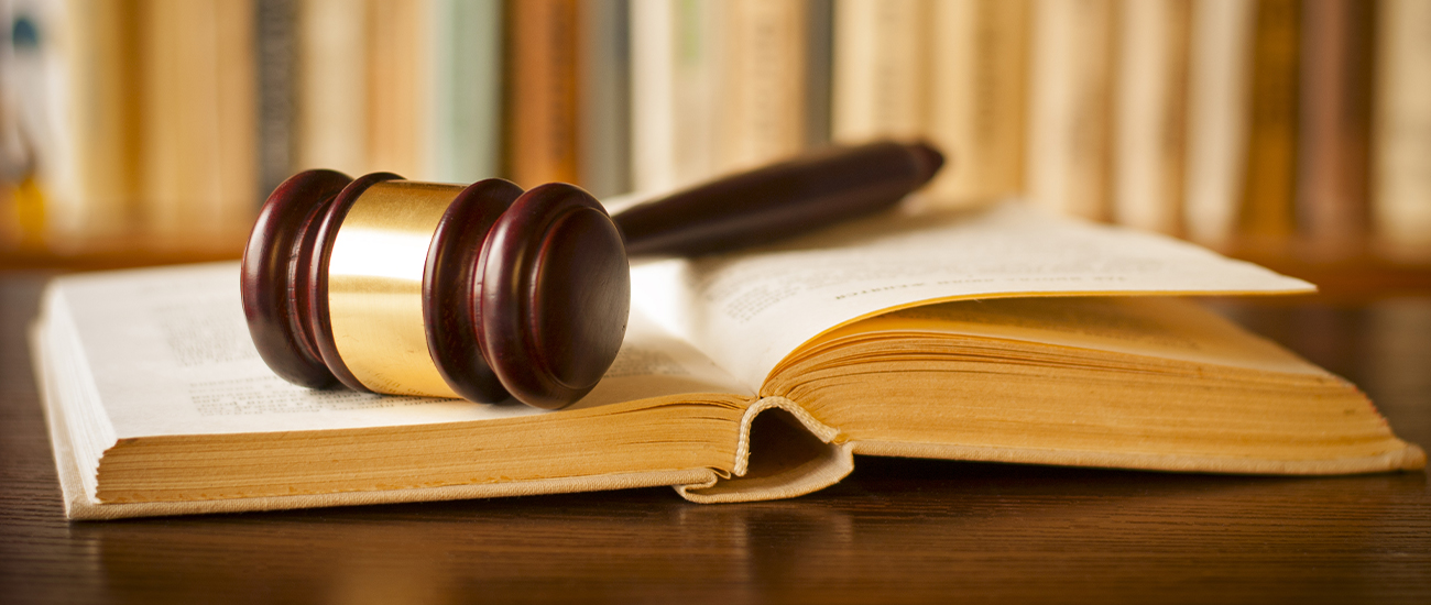 Garbuzov Law Firm, PLLC in Farmington Hills, MI (6)