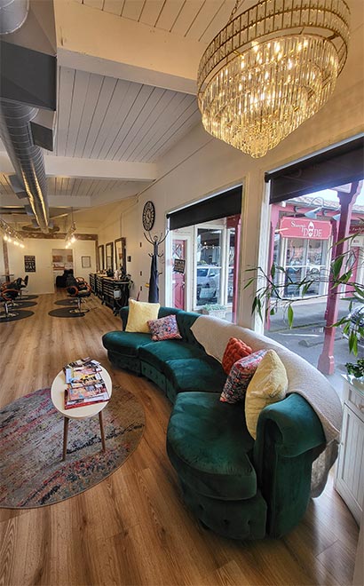 Shampooh's in Novato, CA (2)