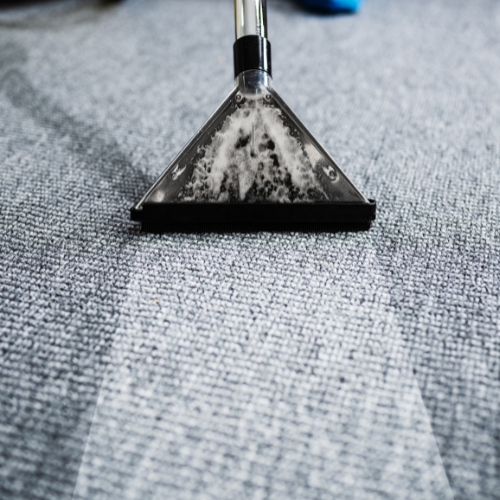 Champion Pro Cleaners in Denton, TX