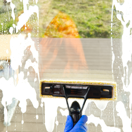 Champion Pro Cleaners in Denton, TX (3)