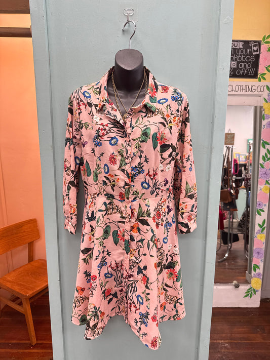 Black Cat Clothing Co. in Plymouth, IN (6)
