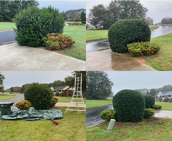 MB&B Lawn Works, LLC in Reidville, SC