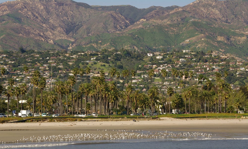 Santa Barbara Realtor | Timm Delaney in Santa Barbara, CA (4)