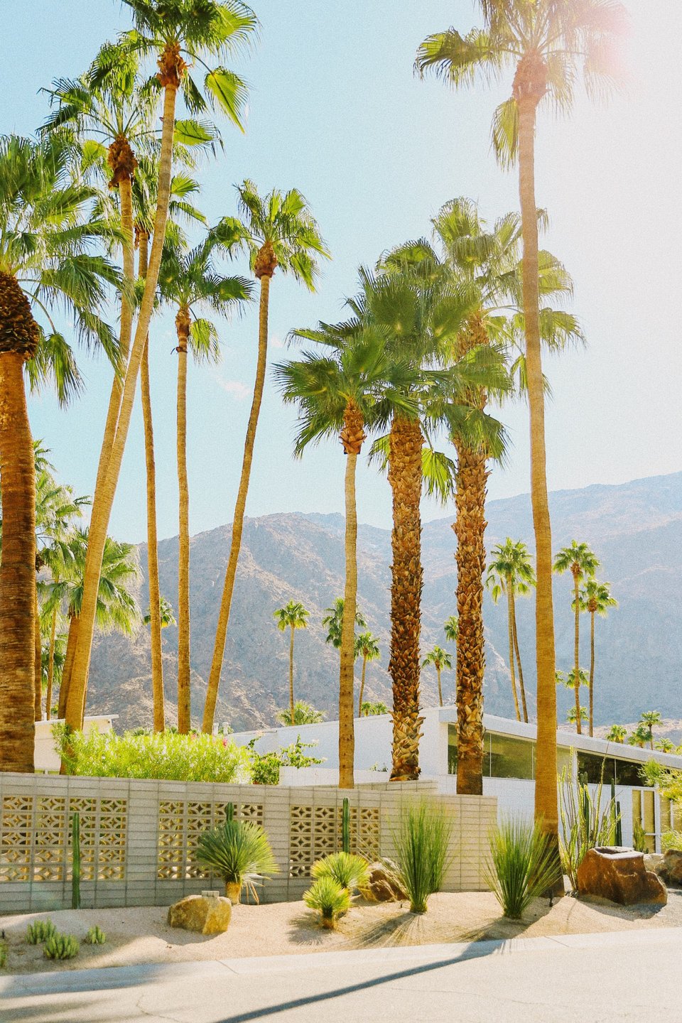 OMNI Real Estate Group in Rancho Mirage, CA