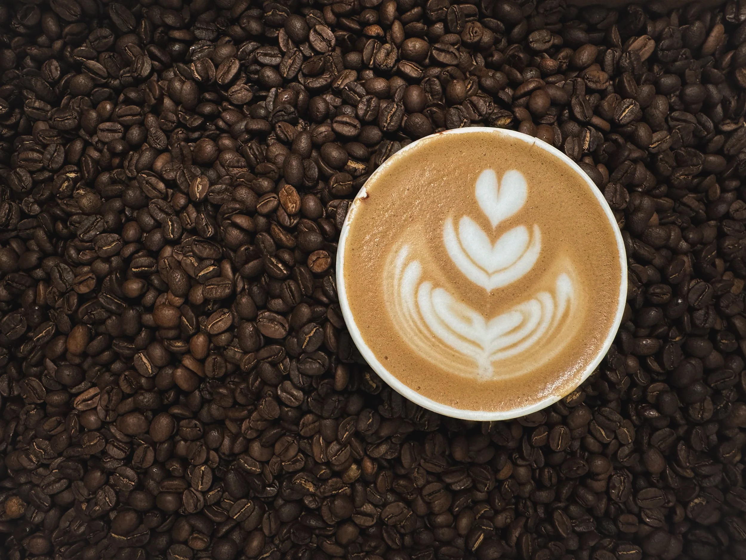 Southport Coffee Co. & Kitchen in Southport, NC (4)