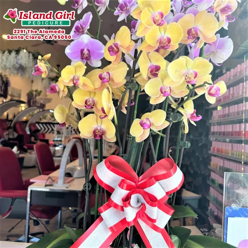 Island Girl Pedicure in Santa Clara, CA (3)