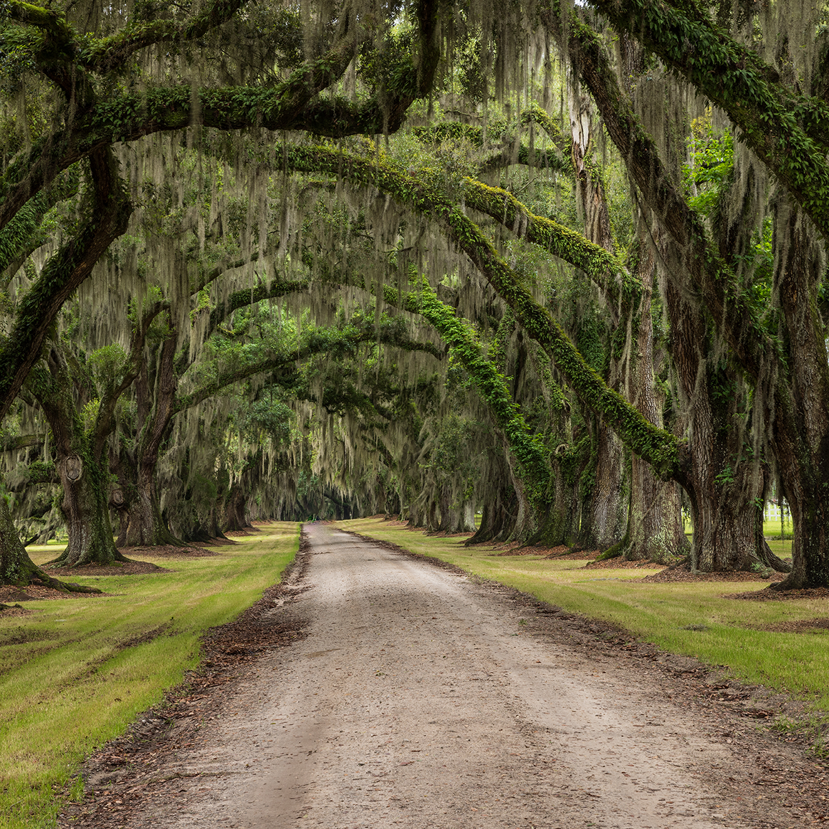Nelson Law Firm in Bluffton, SC