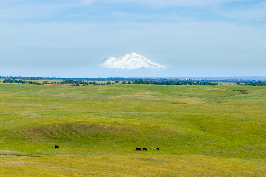 Ag-Land Investment Brokers in Red Bluff, CA