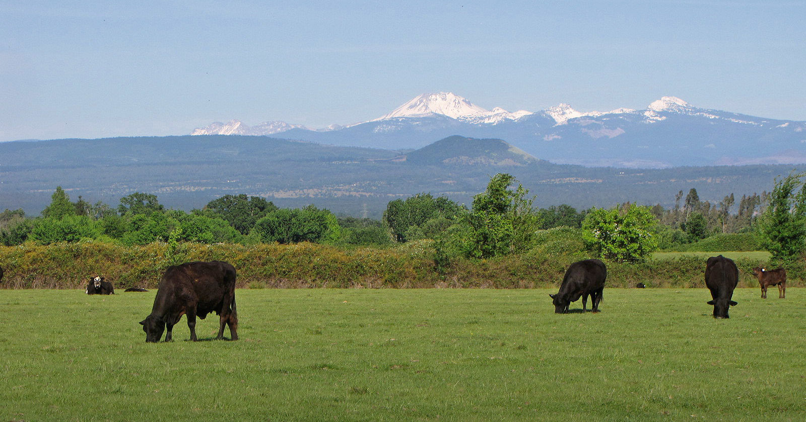 Ag-Land Investment Brokers in Red Bluff, CA (2)
