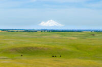 Ag-Land Investment Brokers in Red Bluff, CA (3)