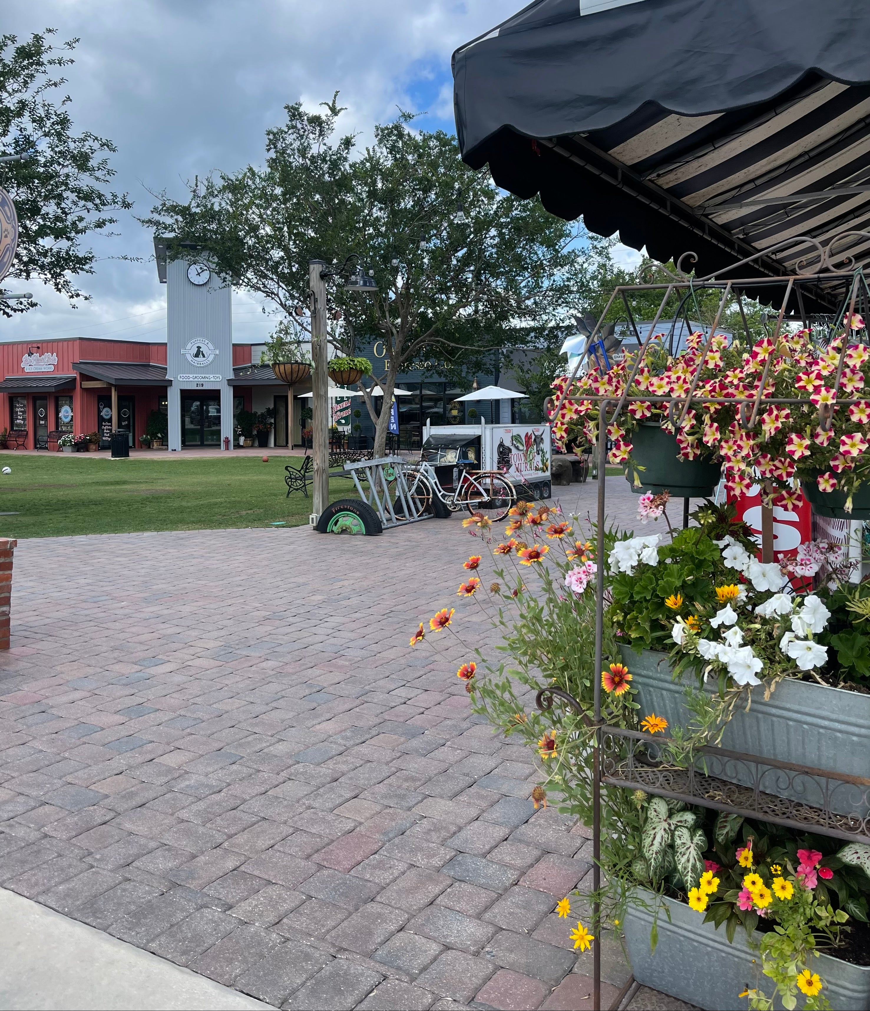 The Blueberry Patch in Lake Placid, FL