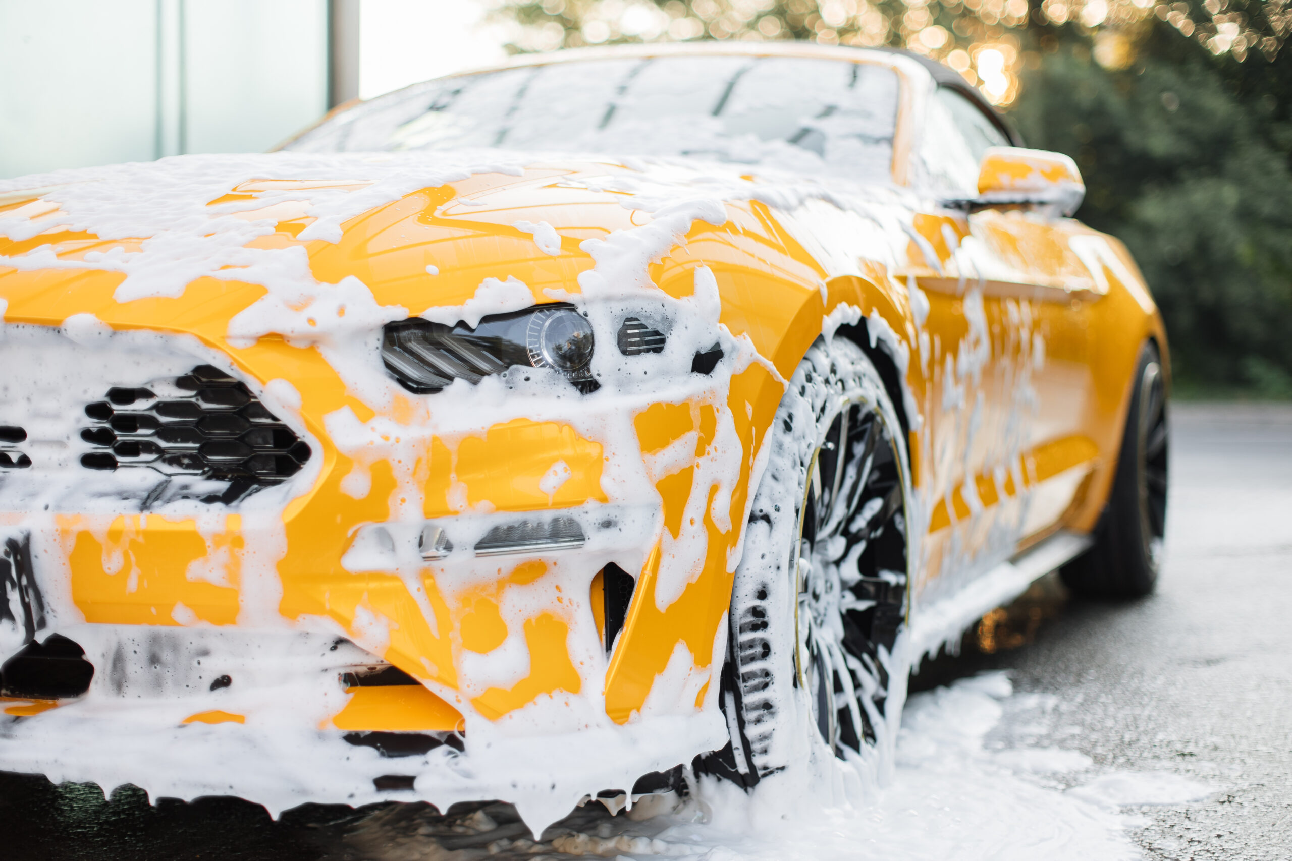 All Seasons Detailing in Elmhurst, IL (4)