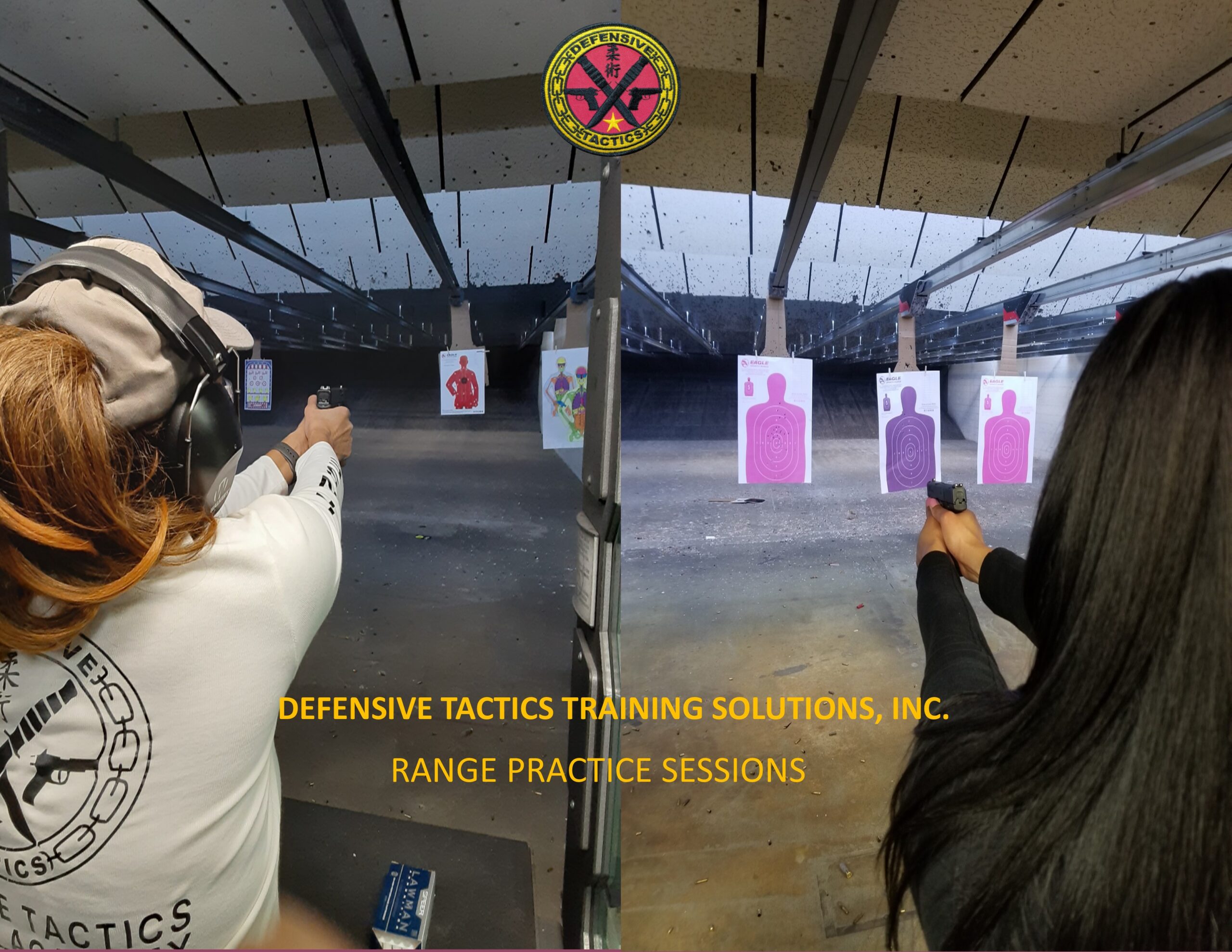 Defensive Tactics Training Solutions, Inc. in Thornton, IL (3)
