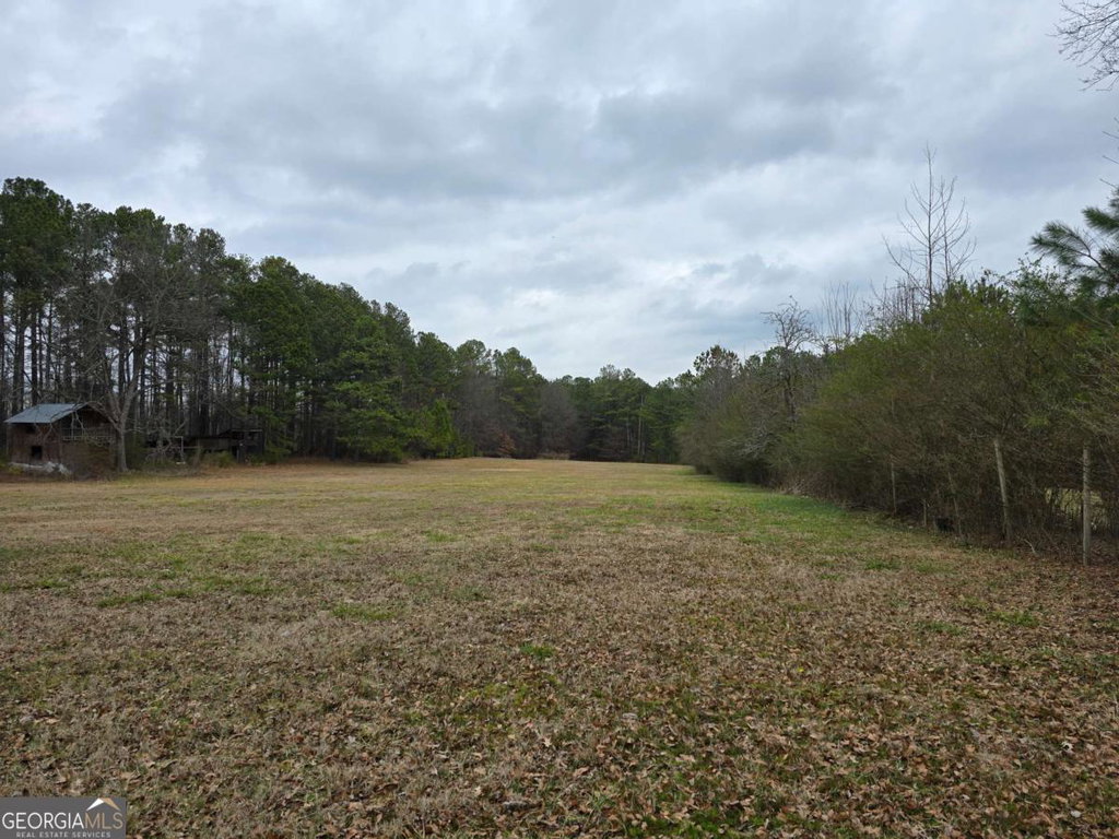 Amy Reese, Sanders Real Estate in Woodstock, GA (4)