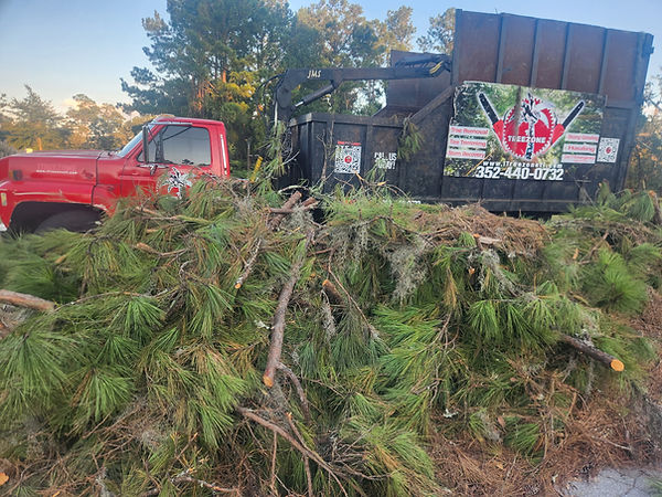 1Treezone in Micanopy, FL (3)