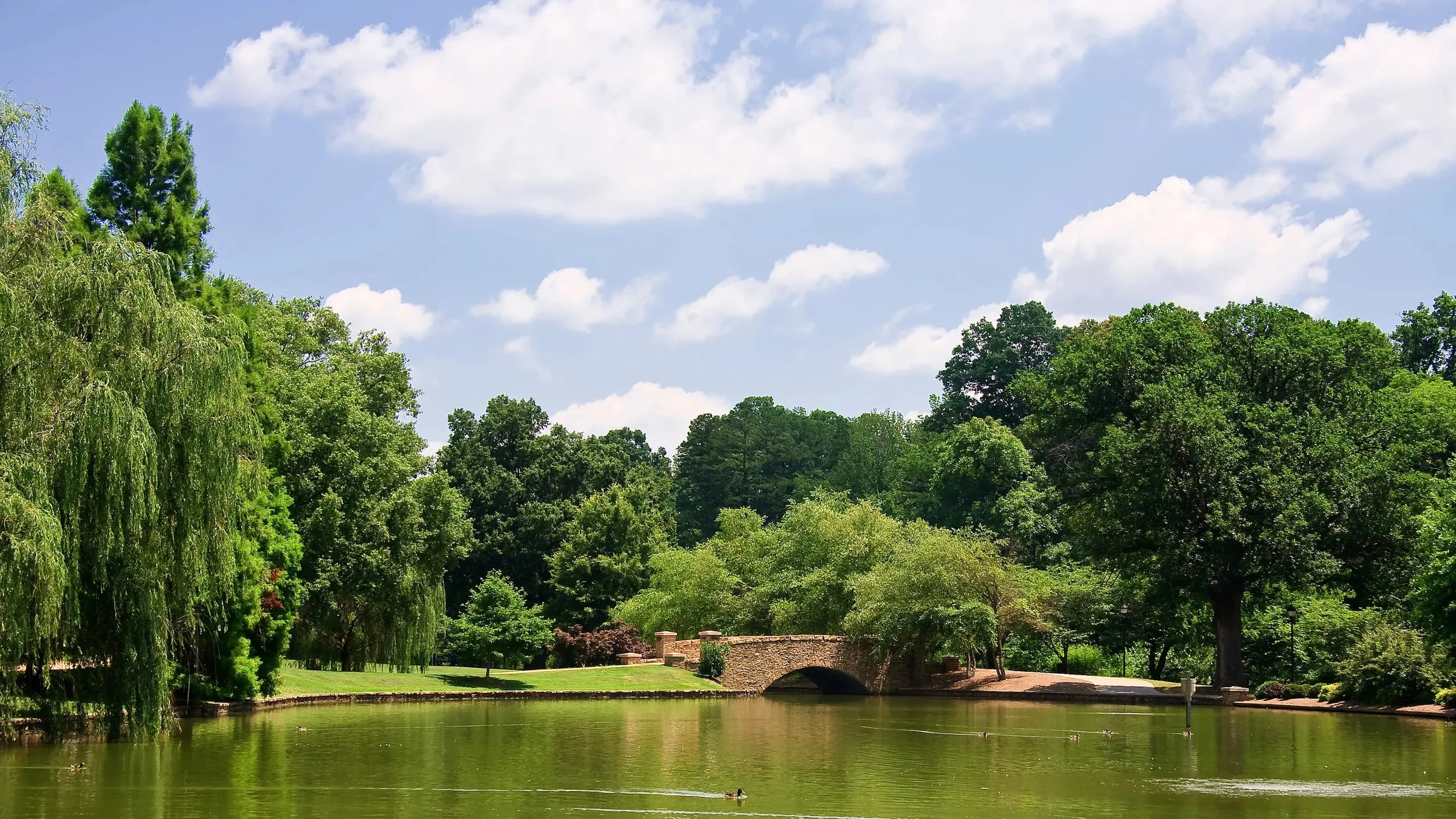 Mathers Realty in Oakboro, NC (5)