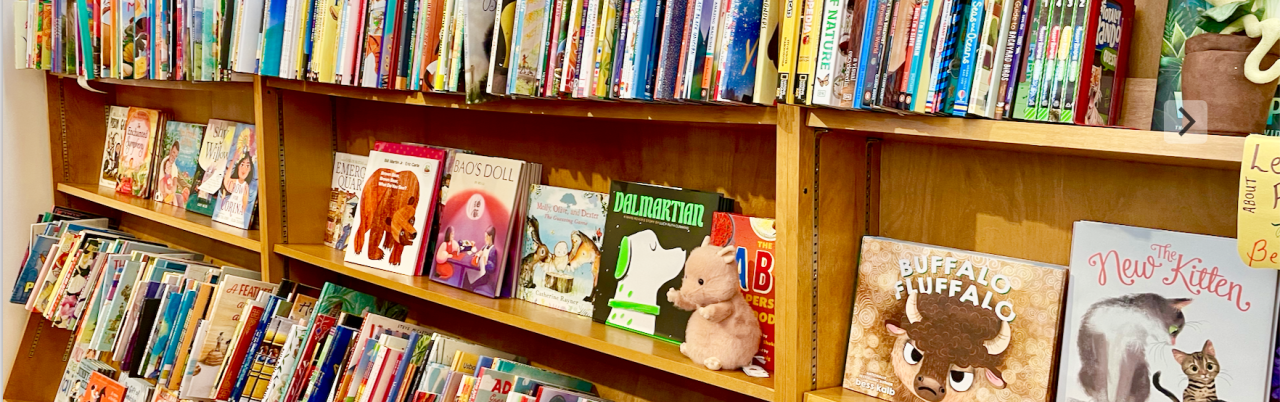 Little City Books in Hoboken, NJ (3)