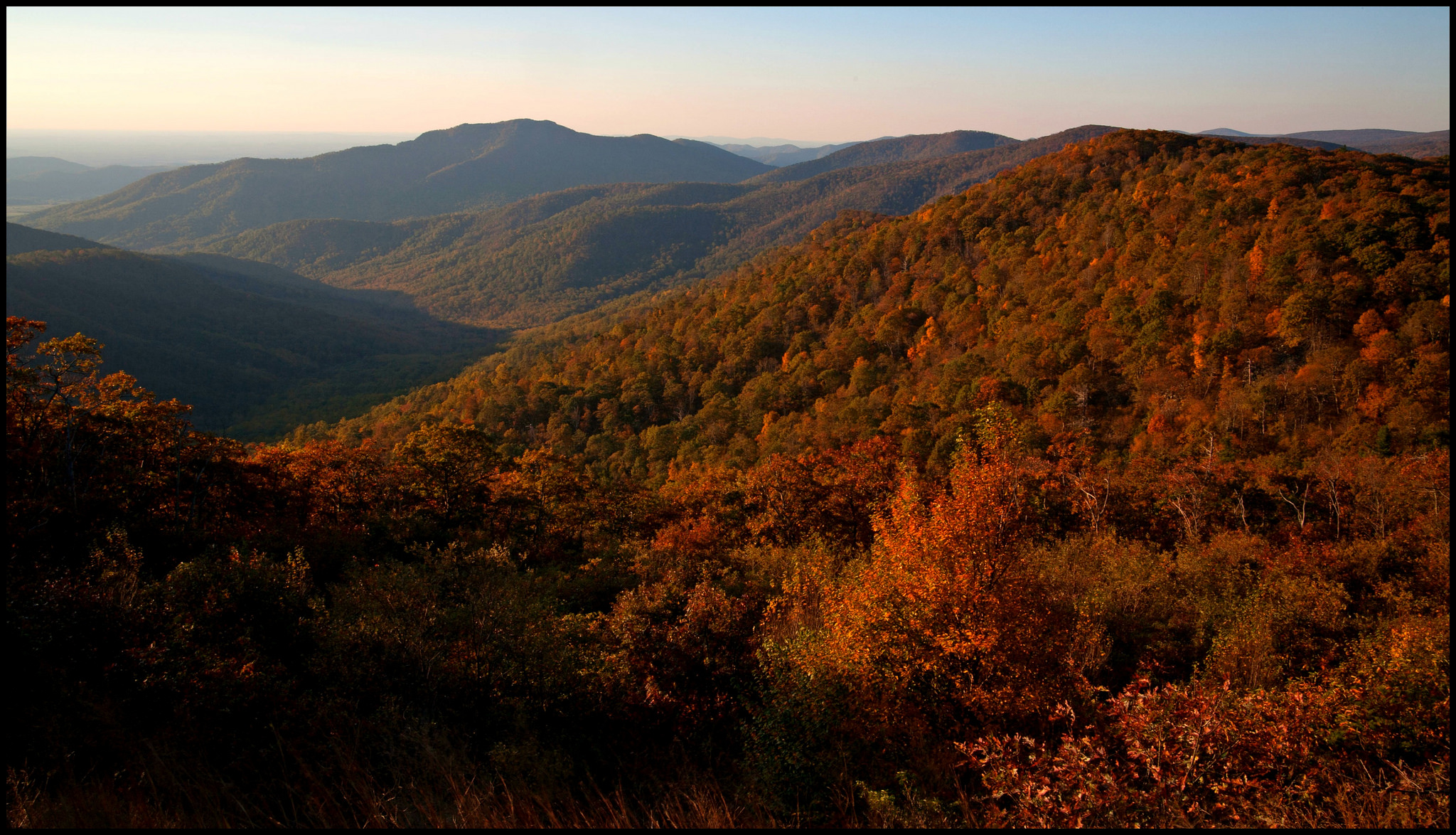 Parker David L in Woodstock, VA