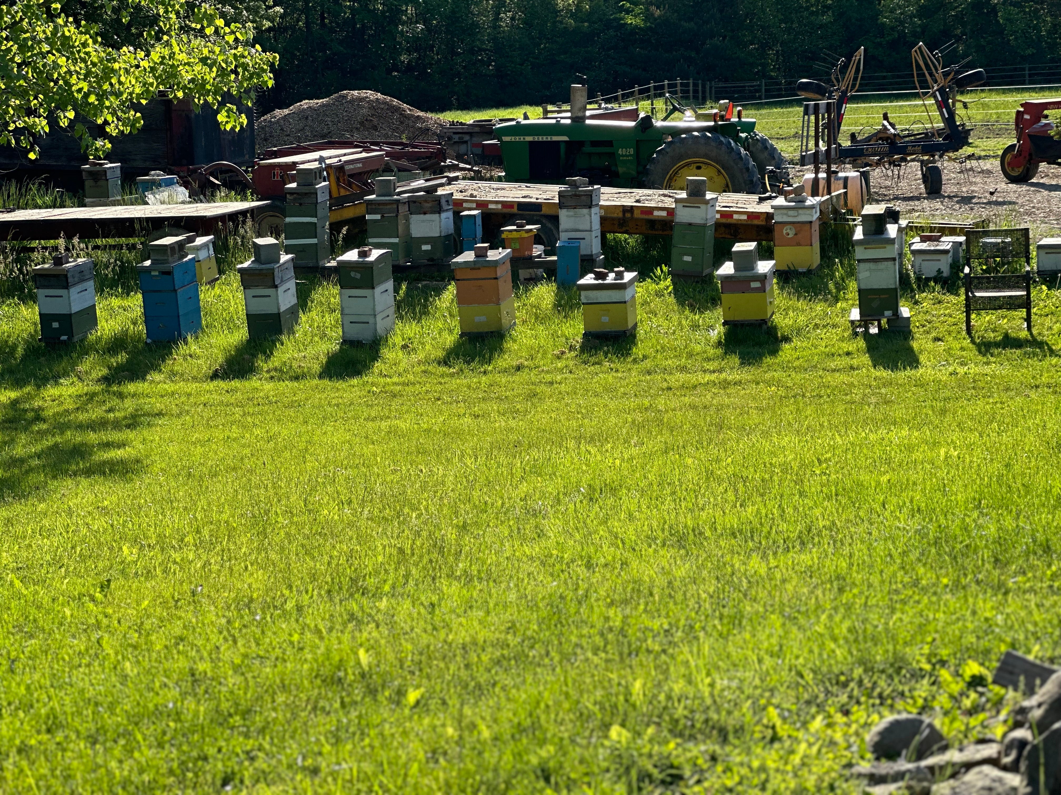 Linda's Bee Farm Honey Gift Shop in Westlake, OH (2)