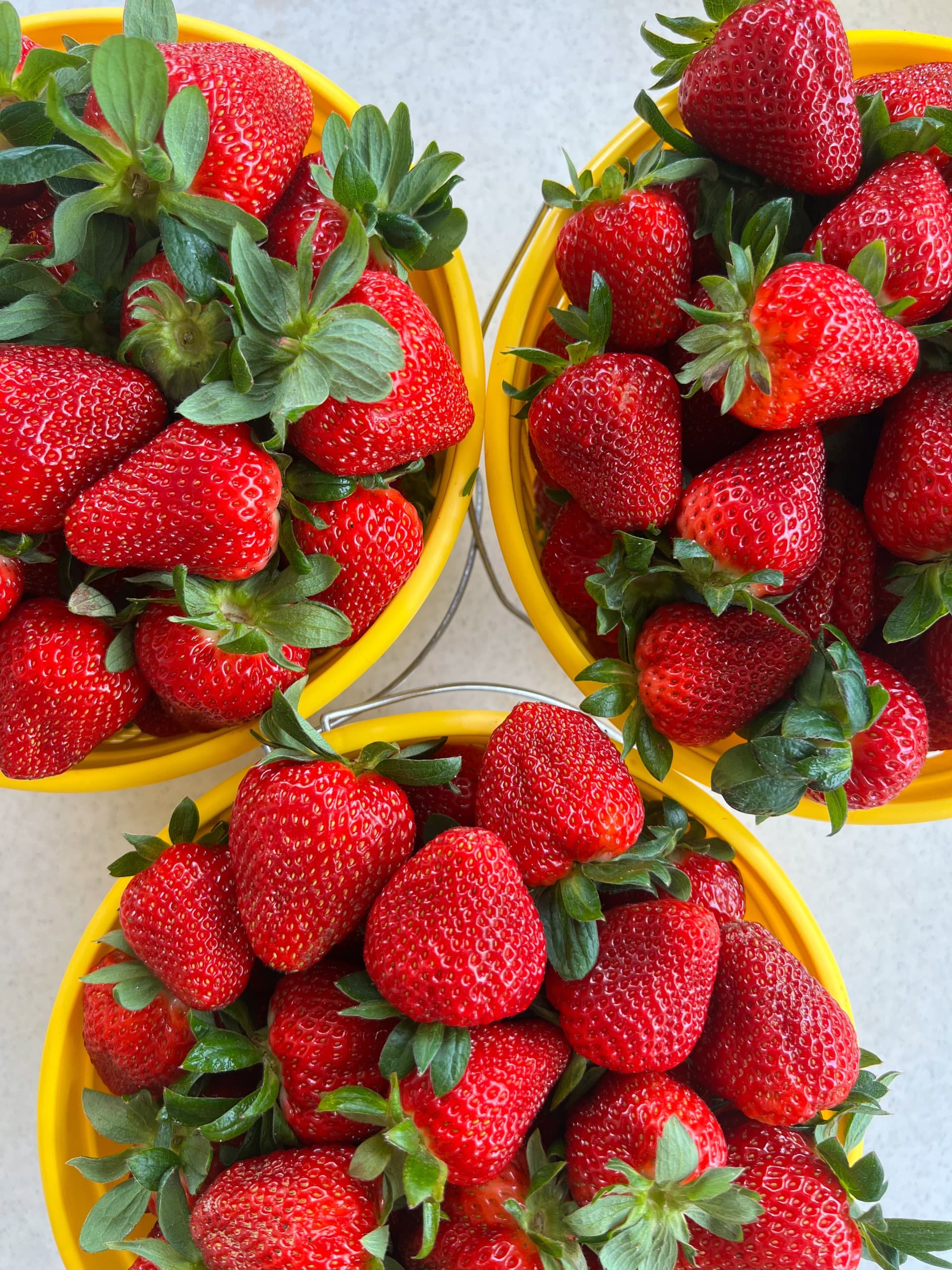 Heritage Fresh Market in Supply, NC (4)