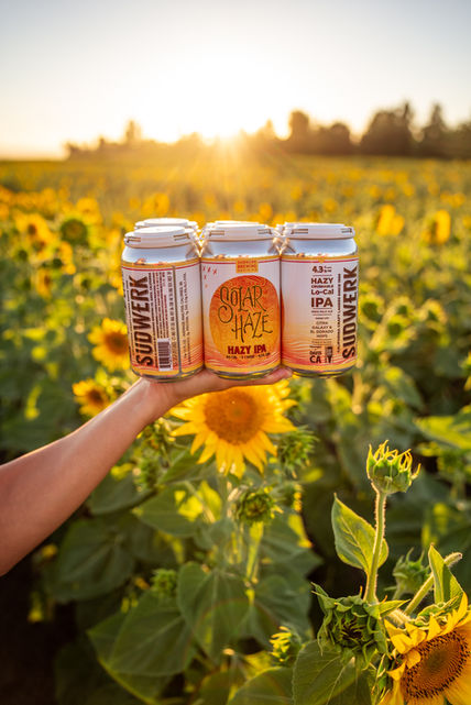 Sudwerk Brewing Co. in Davis, CA (4)