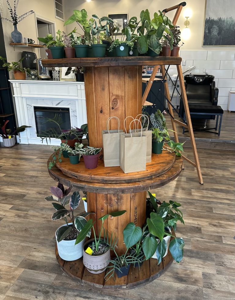 The Mane Studio in Mechanicsburg, PA (2)