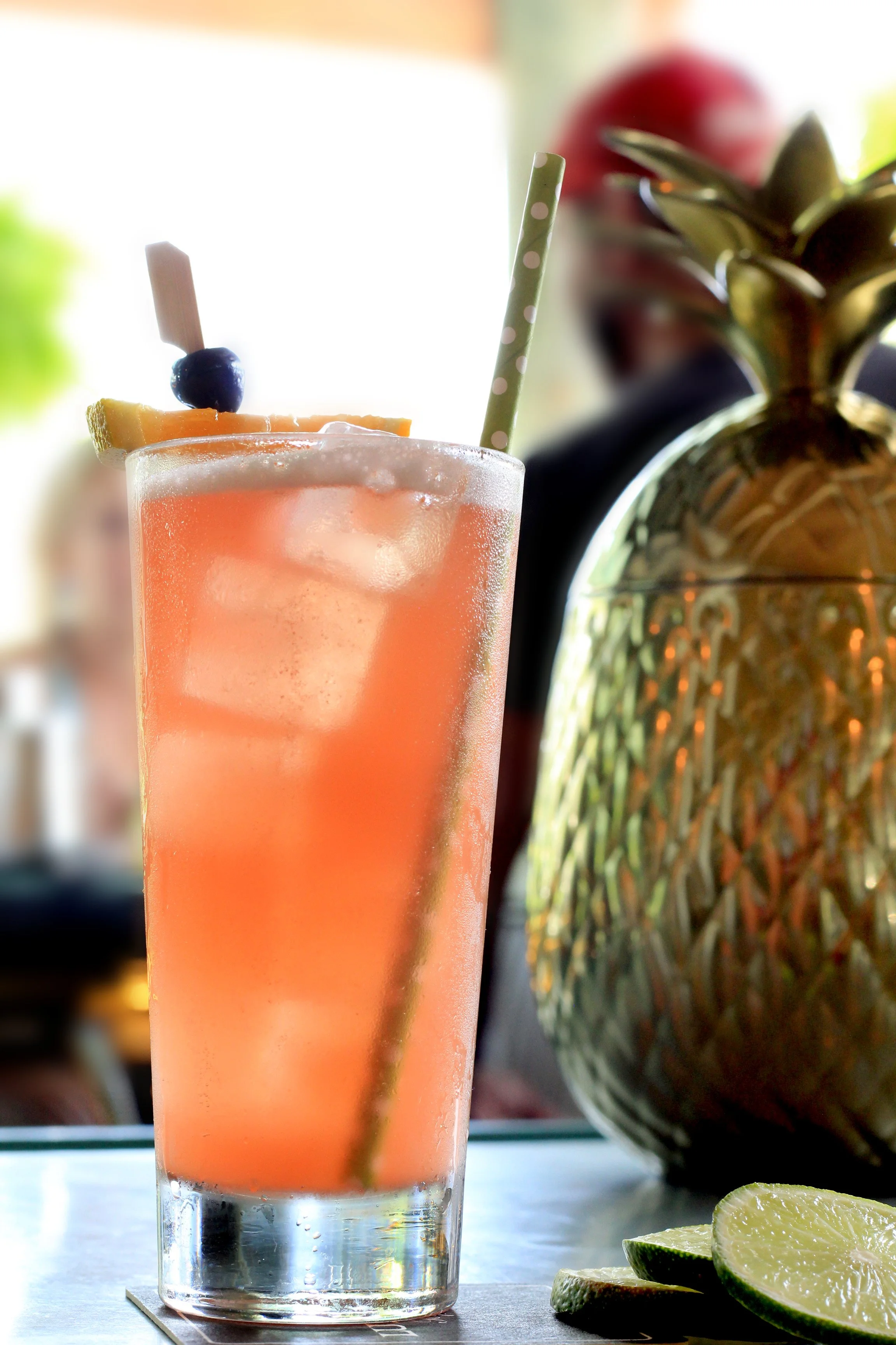Lowlife Bar in Folly Beach, SC (5)