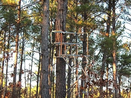 Iron Horse Properties in Rockingham, NC