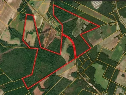 Iron Horse Properties in Rockingham, NC (4)
