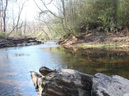 Iron Horse Properties in Rockingham, NC (5)