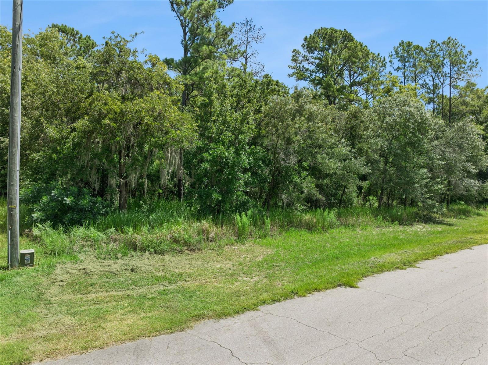 Erin Floyd Real Estate Team in Winter Haven, FL