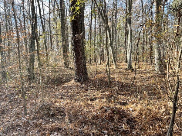 National Land Realty - Maryland in Hebron, MD