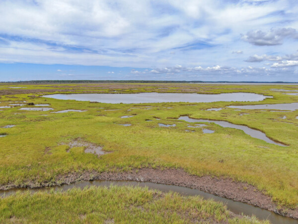 National Land Realty - Maryland in Hebron, MD (4)