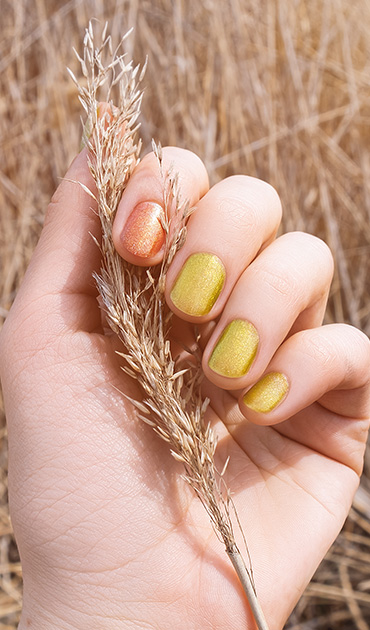 ALORA NAIL SPA & SALON in Avon, OH (4)