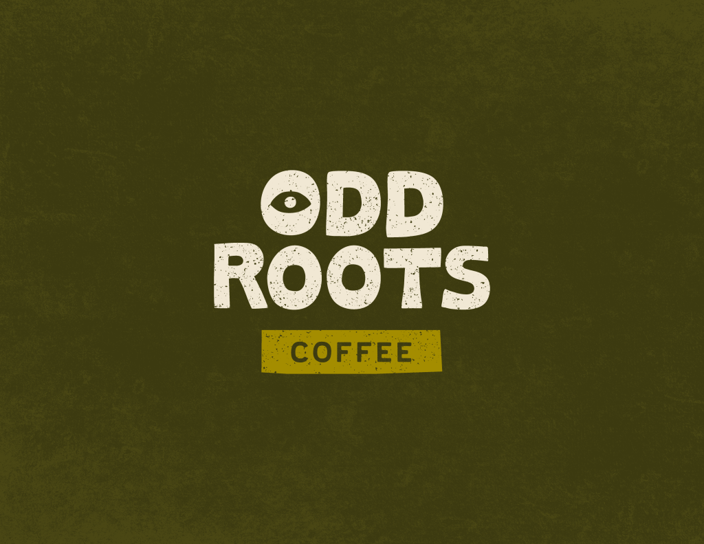 Odd Roots Coffee in Austin, TX (2)