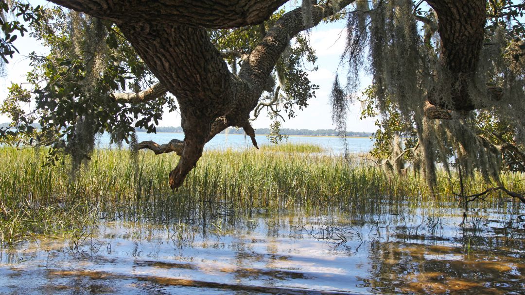 Golf Club Realty in St Simons Island, GA