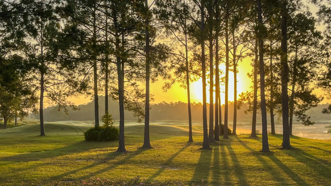 Golf Club Realty in St Simons Island, GA (3)
