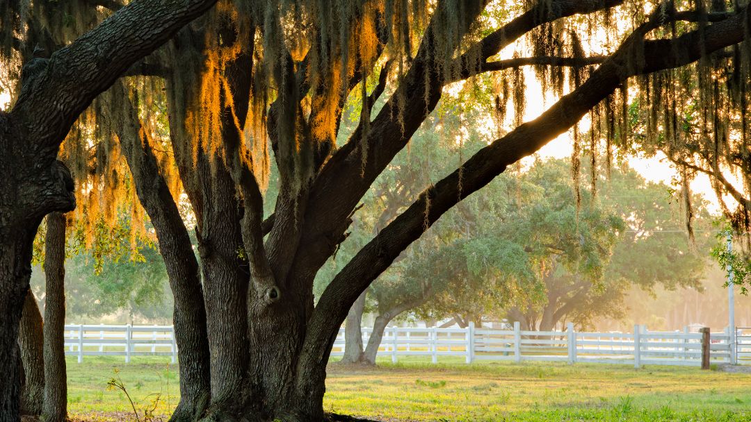 Golf Club Realty in St Simons Island, GA (4)