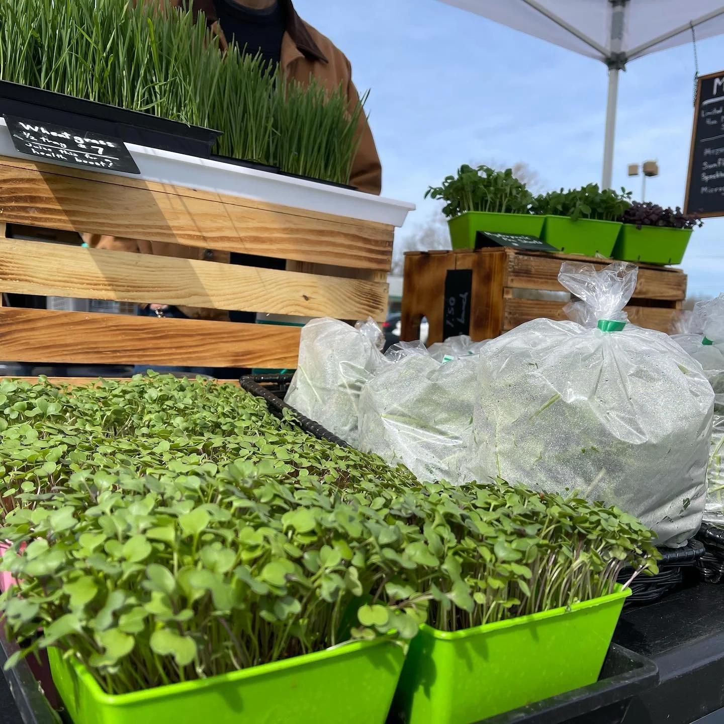 Chillicothe Farmers Market in Chillicothe, OH (5)