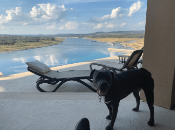Mark Chris Shive, Lago Resort Properties in Lago Vista, TX (4)