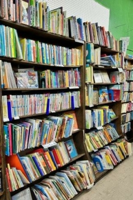Dark Star Books & Comics in Yellow Springs, OH (4)