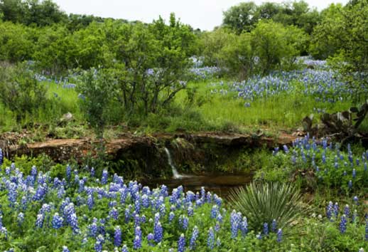 Texas Hill Country Real Estate in Wimberley, TX