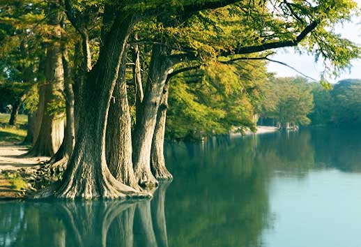 Texas Hill Country Real Estate in Wimberley, TX (2)
