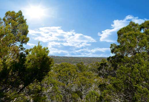 Texas Hill Country Real Estate in Wimberley, TX (3)