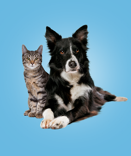 JAX Cleaning Service in Atlantic Beach, FL (2)